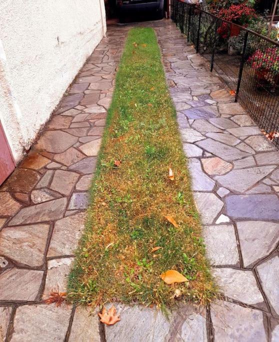 Το Σπίτι Του Γιάννη Lägenhet Pýli Exteriör bild